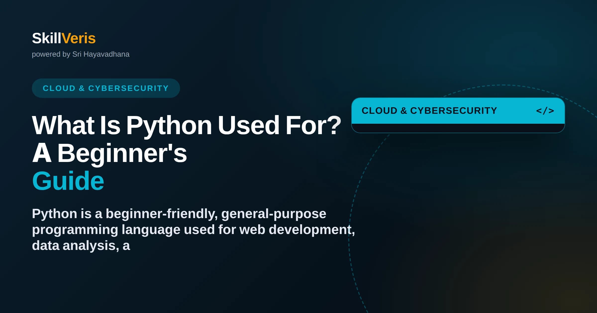 What Is Python Used For? A Beginner's Guide