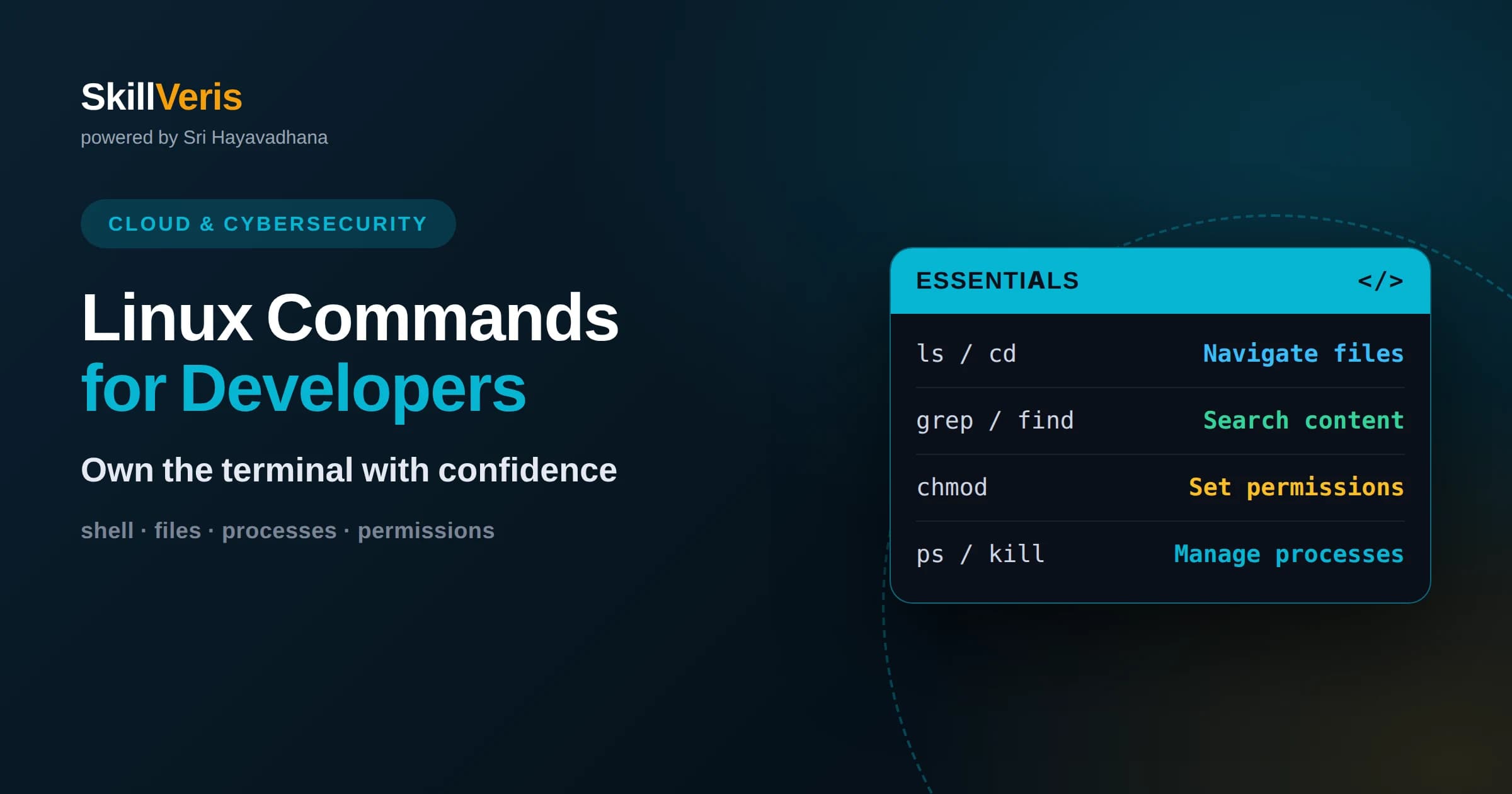 Linux Commands Every Developer Should Know