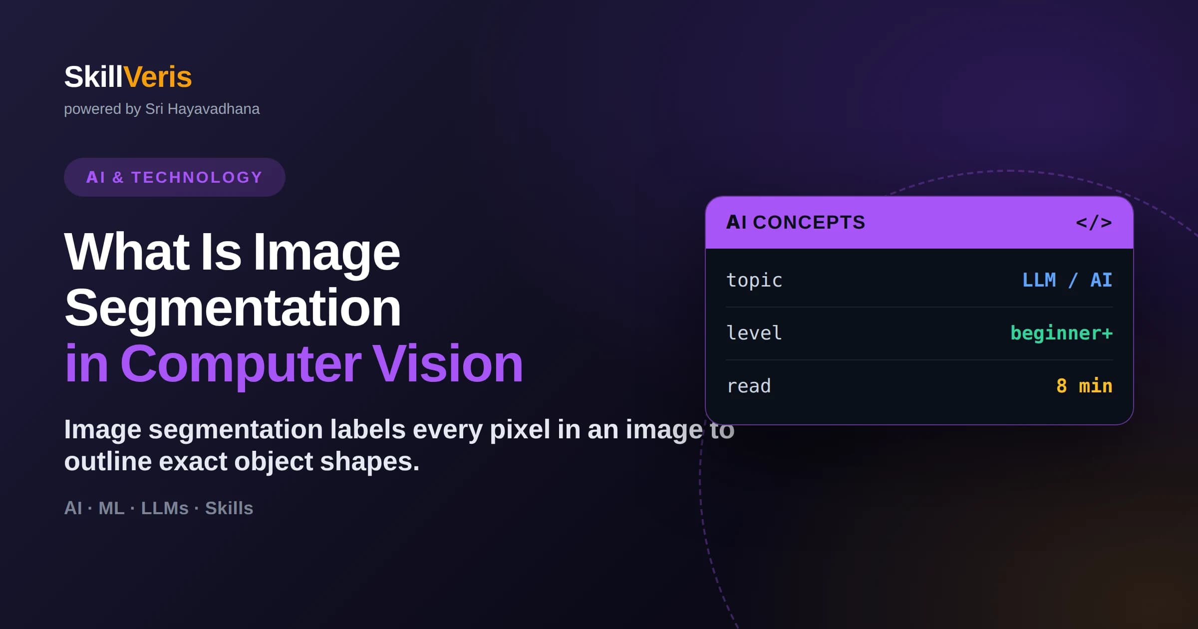 What Is Image Segmentation in Computer Vision
