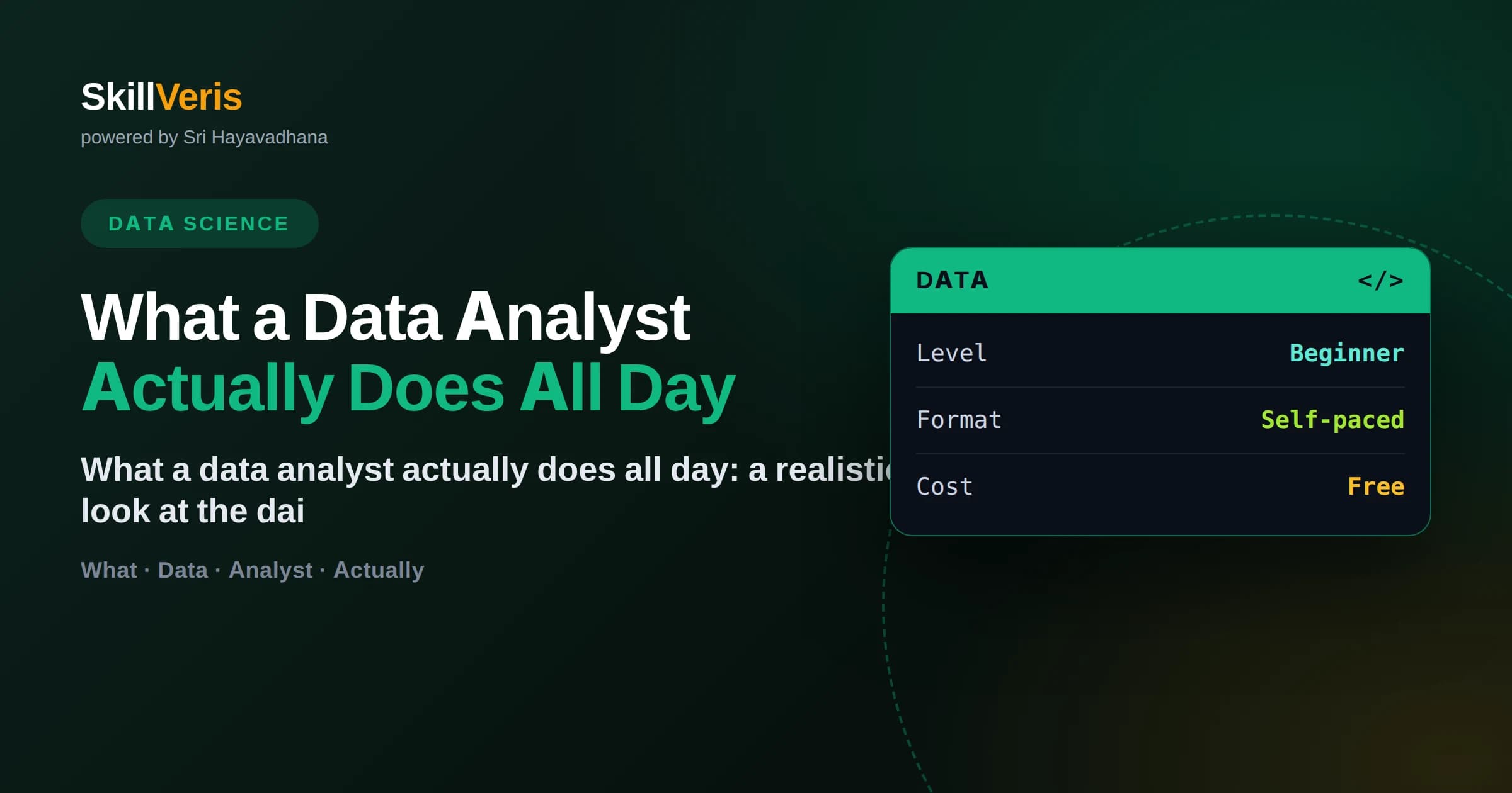 What a Data Analyst Actually Does All Day