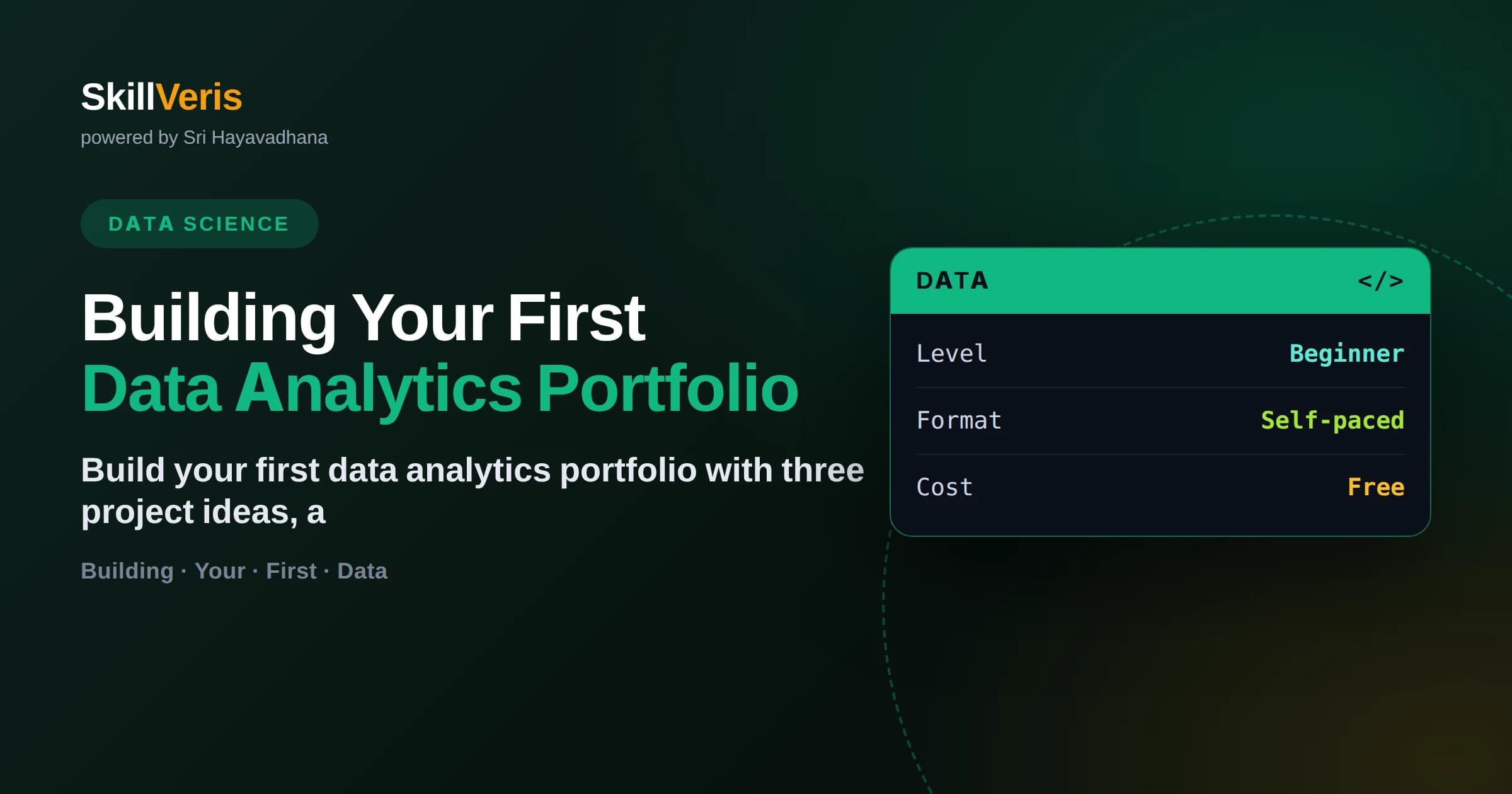 Building Your First Data Analytics Portfolio