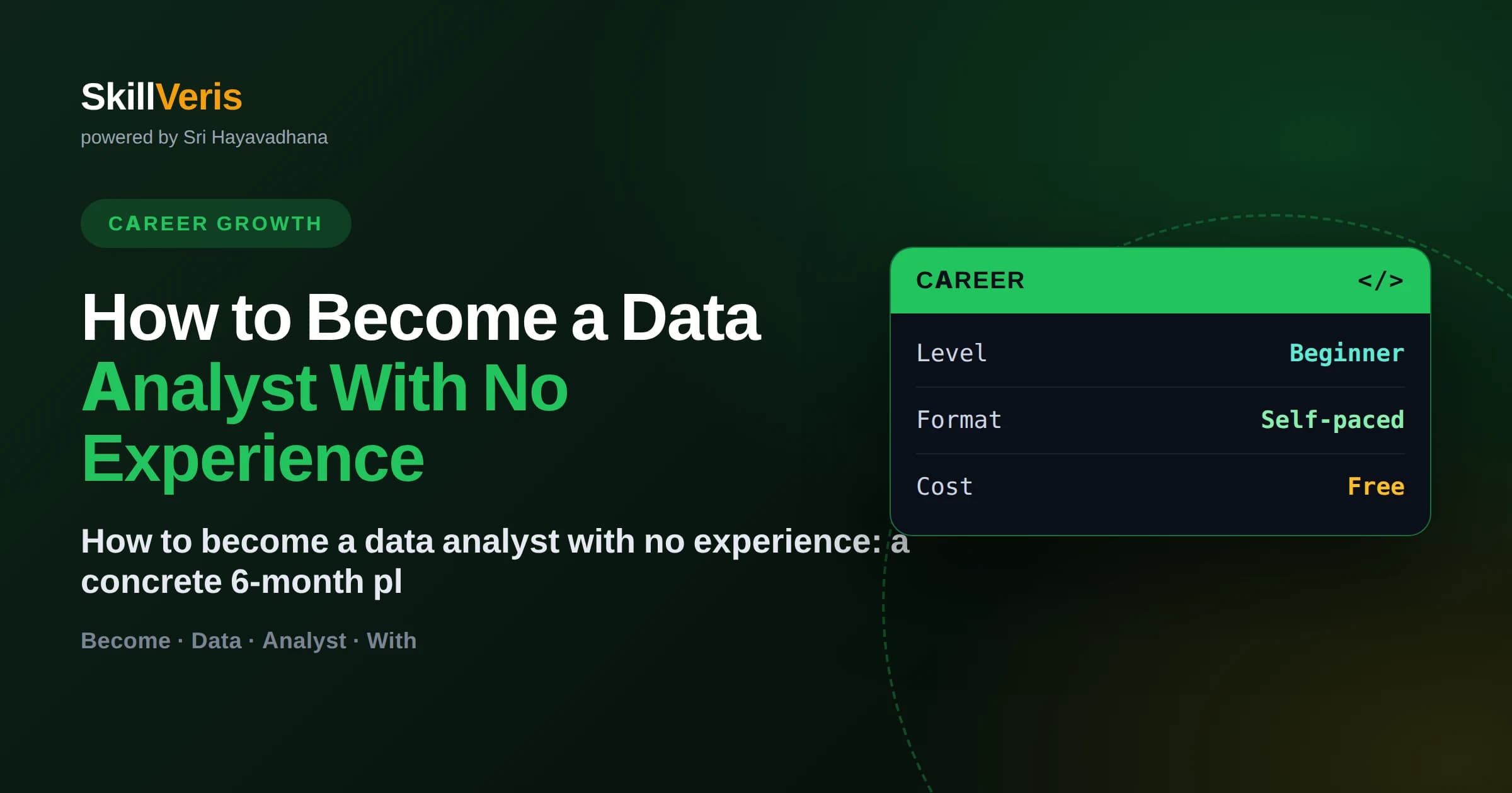 How to Become a Data Analyst With No Experience