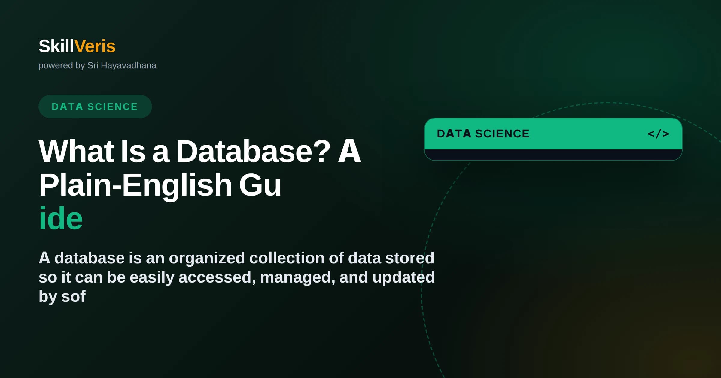 What Is a Database? A Plain-English Guide