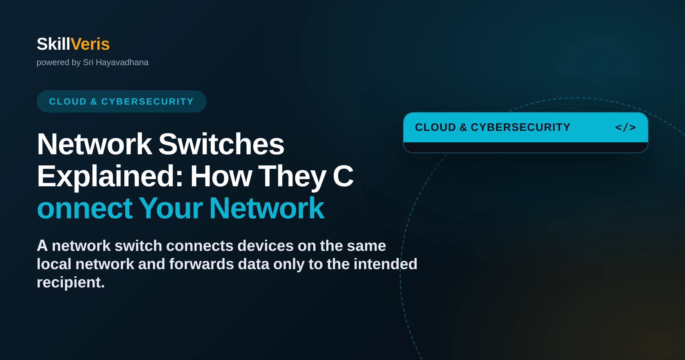 Network Switches Explained: How They Connect Your Network