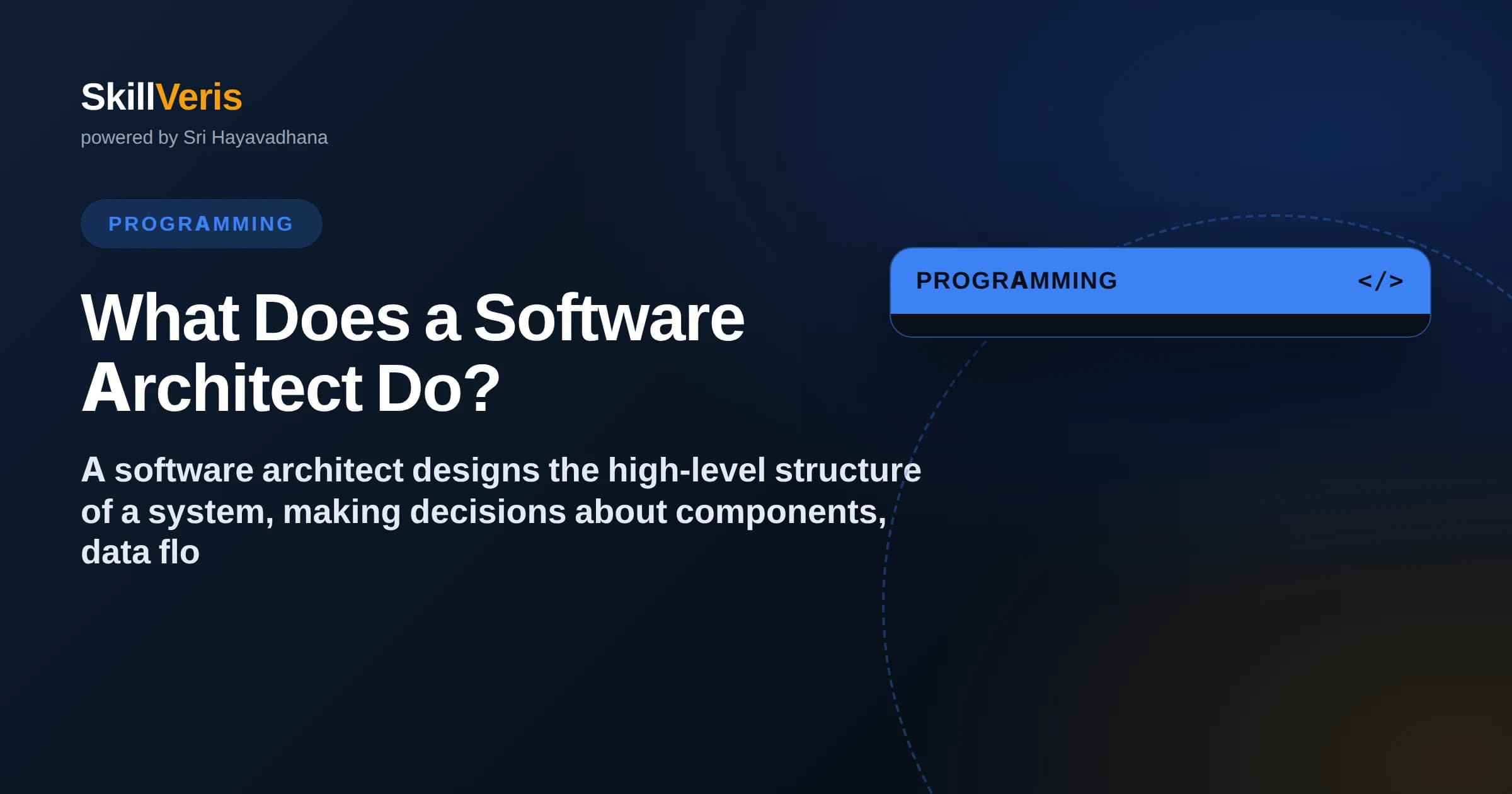 What Does a Software Architect Do?